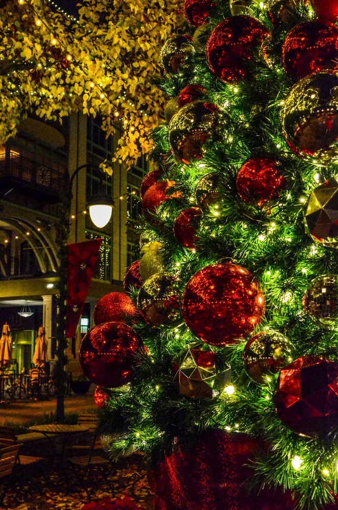 Photograph by Irina Trofimchuk