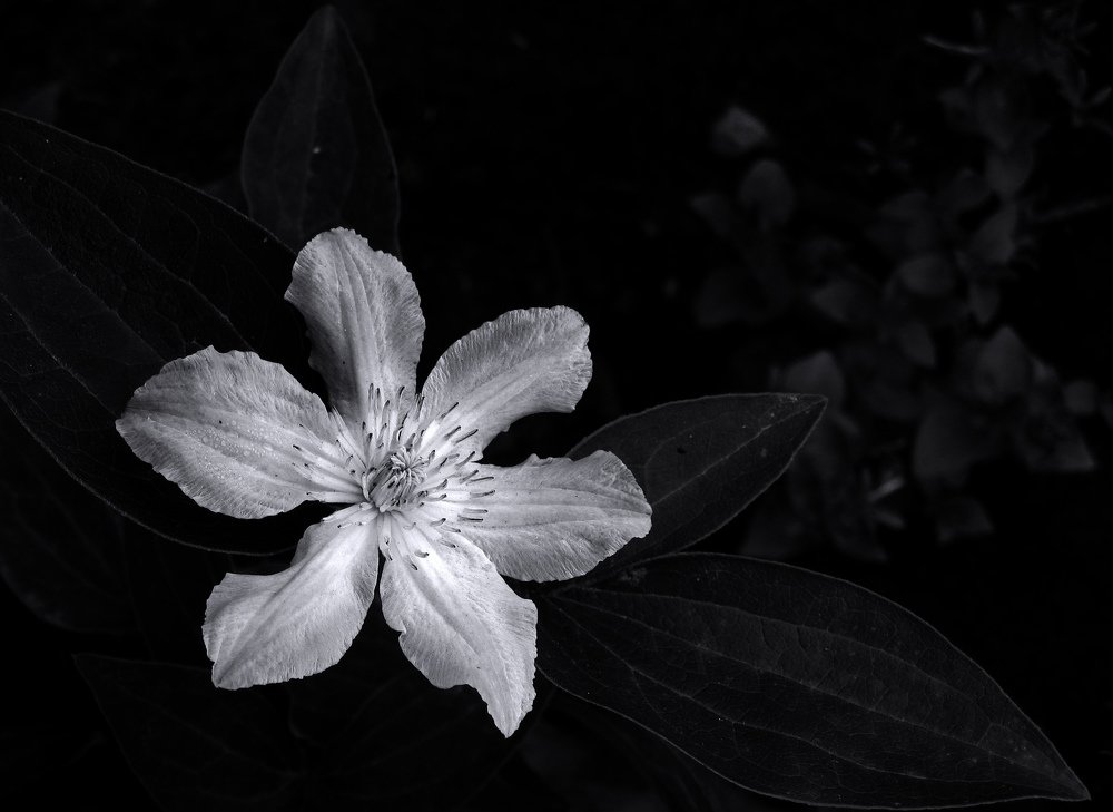 Photograph by Александр Рыбак