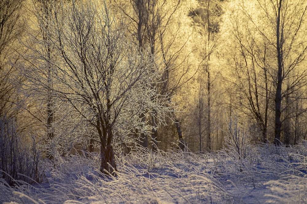 Photograph by Владимир Письмак