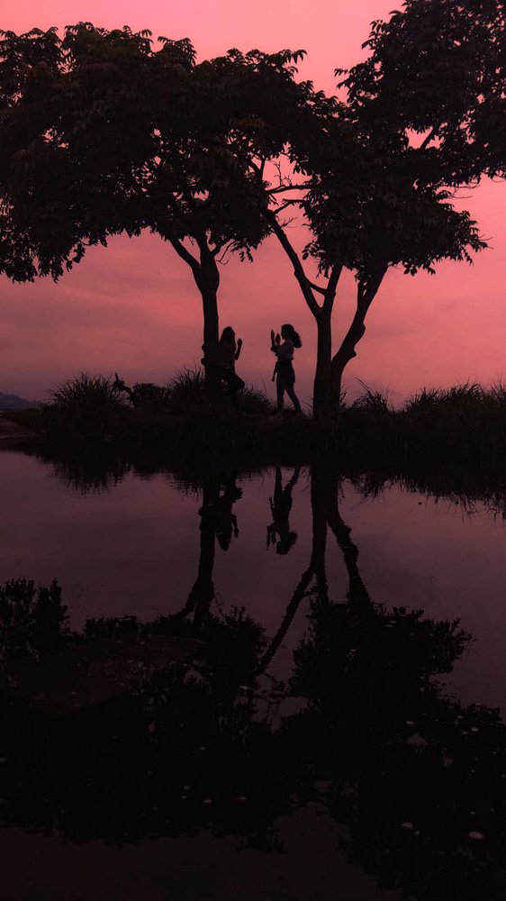 'Reflections of life'