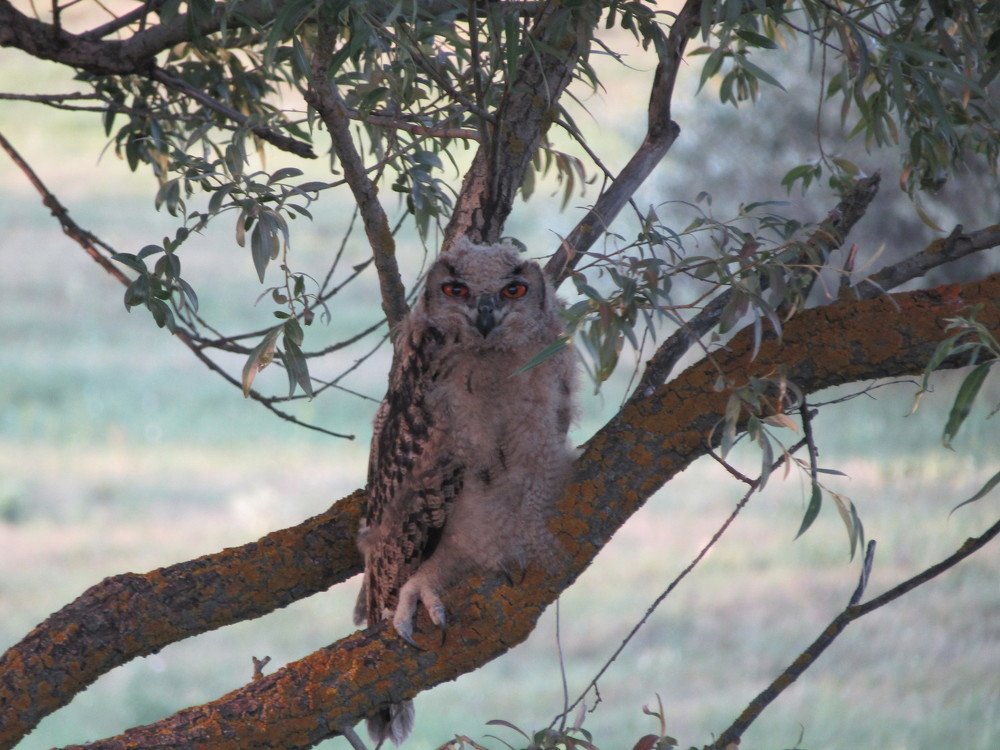 Photograph by Сергей Яценко