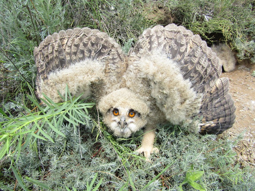 Photograph by Сергей Яценко