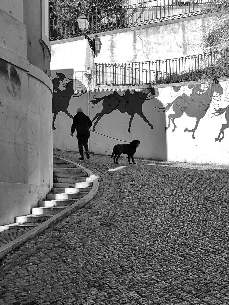 Photograph by Андрей Родионов