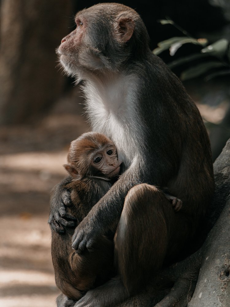Photograph by Даниил Калиниченко