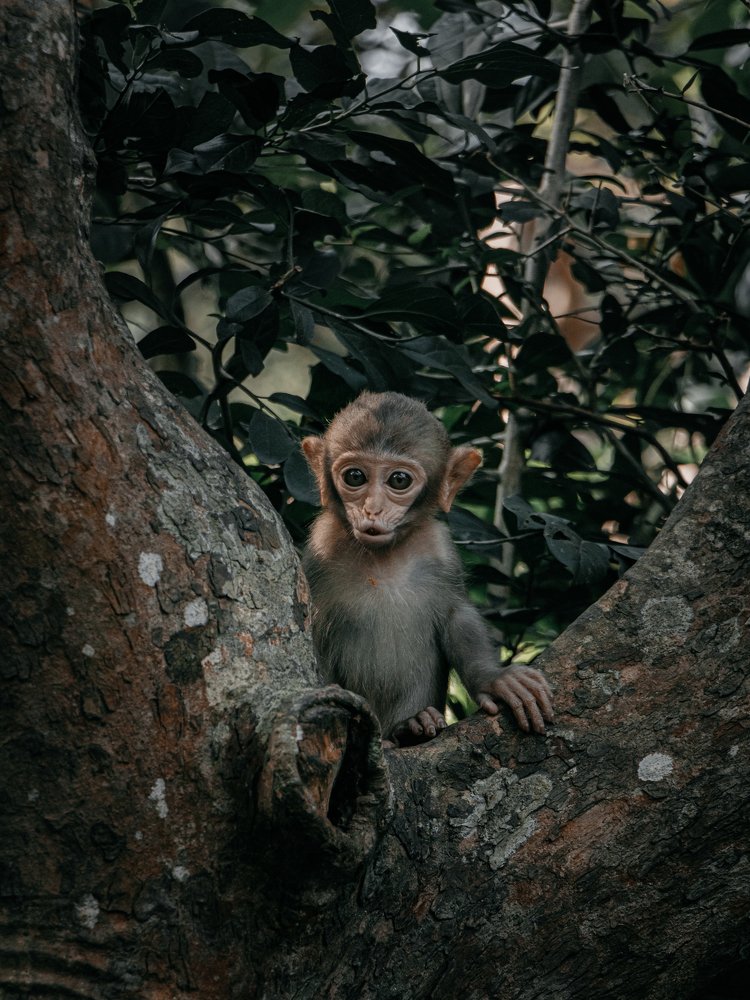 Photograph by Даниил Калиниченко