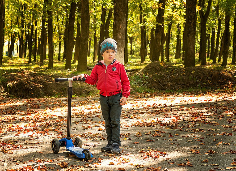 Осень в городе