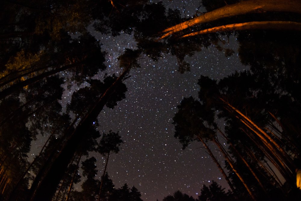 Photograph by Анастасия Тараненко