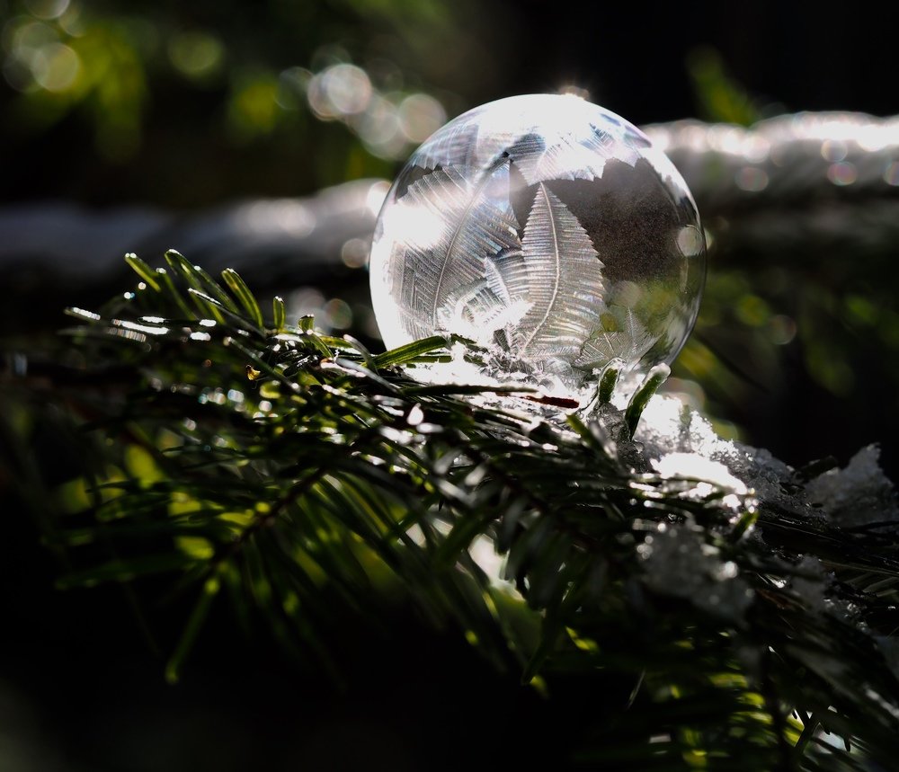 Photograph by Xeniya Kolosova