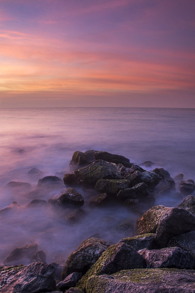 Photograph by Malika Jayamanna