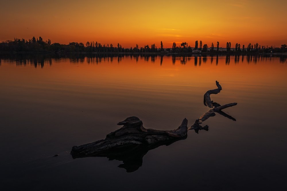 Photograph by Oleksandr Sanin