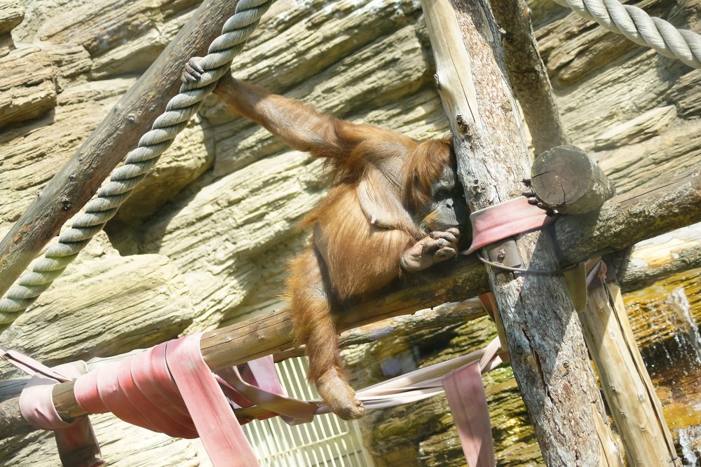 Photograph by Юрий