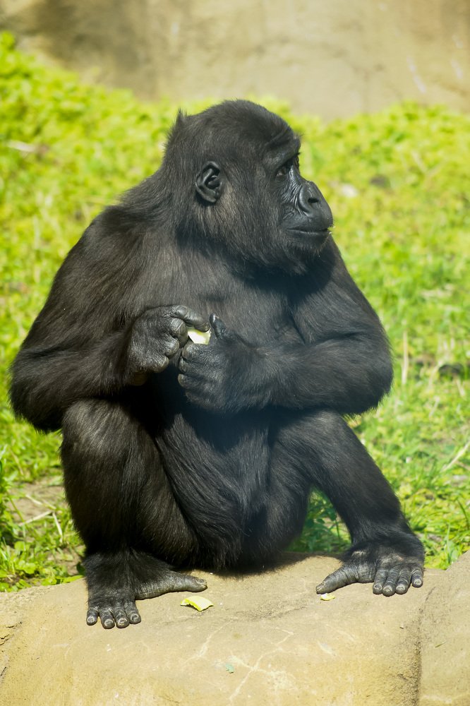 Photograph by Юрий