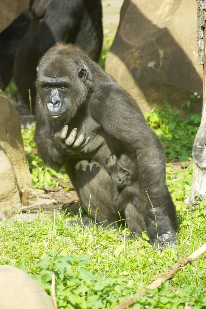 Photograph by Юрий