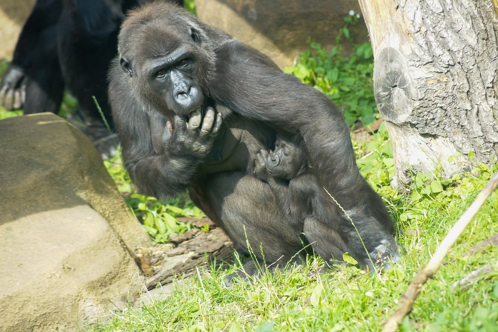 Photograph by Юрий