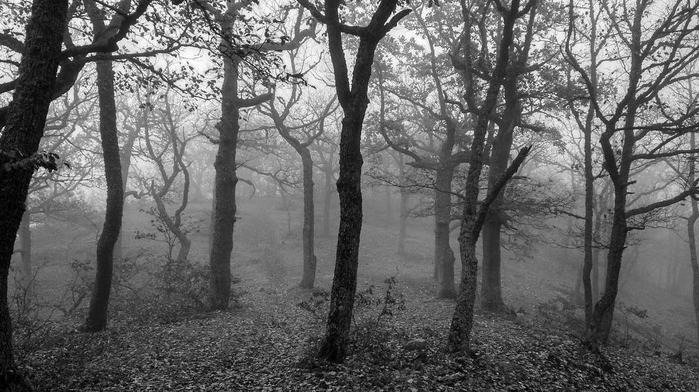 Photograph by Артём