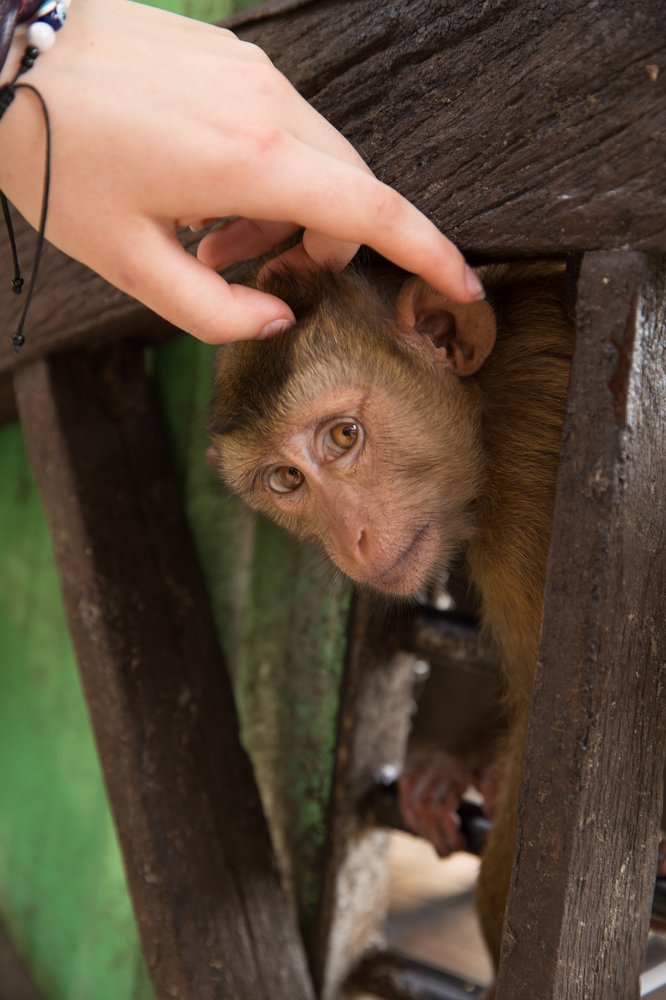 Photograph by Tatiana Oskina