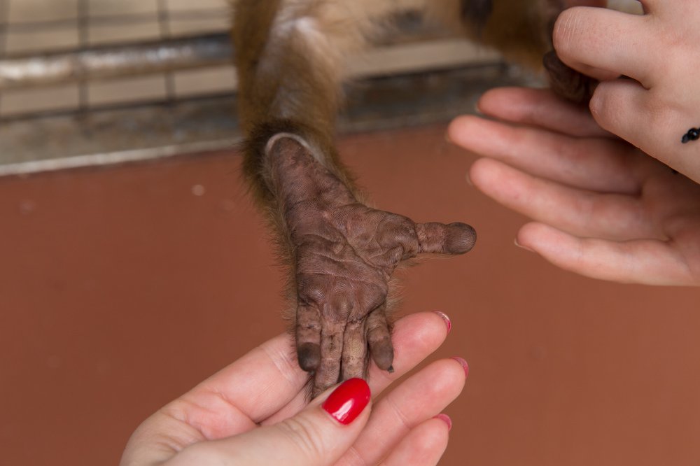 Photograph by Tatiana Oskina