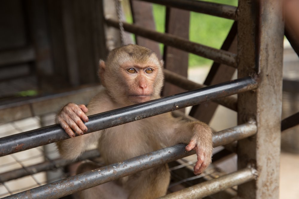 Photograph by Tatiana Oskina