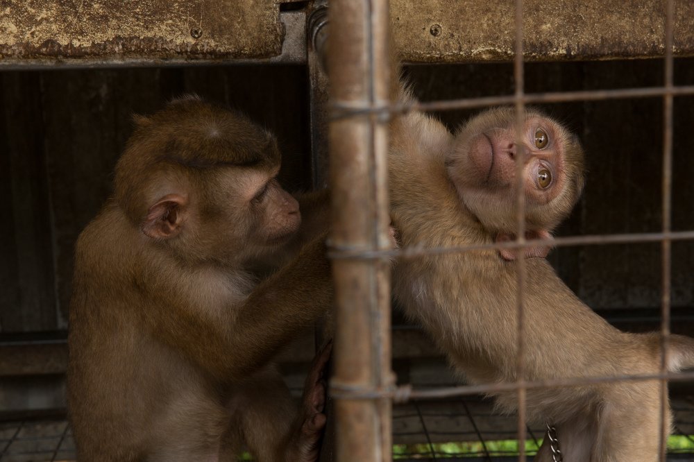 Photograph by Tatiana Oskina