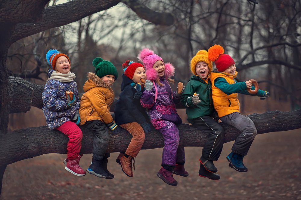 Завтрак на дереве