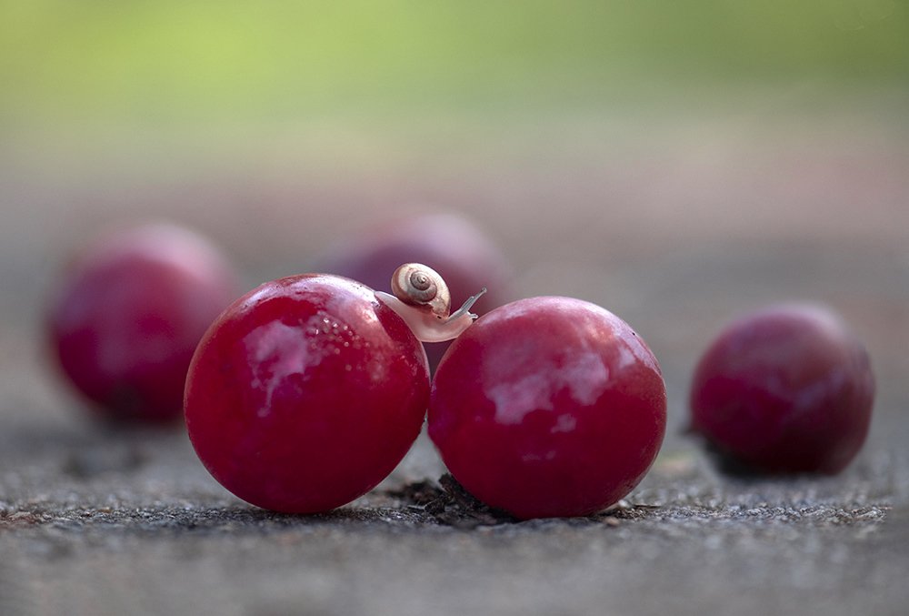 Photograph by Елена Осколкова