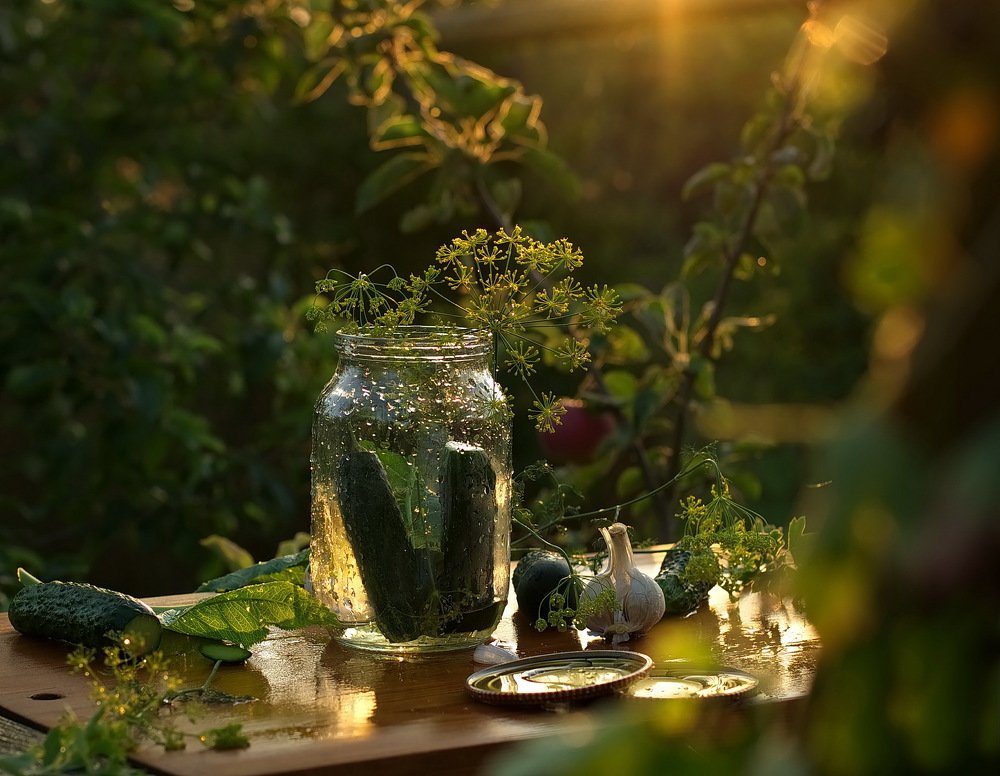 Солнечные закатки...