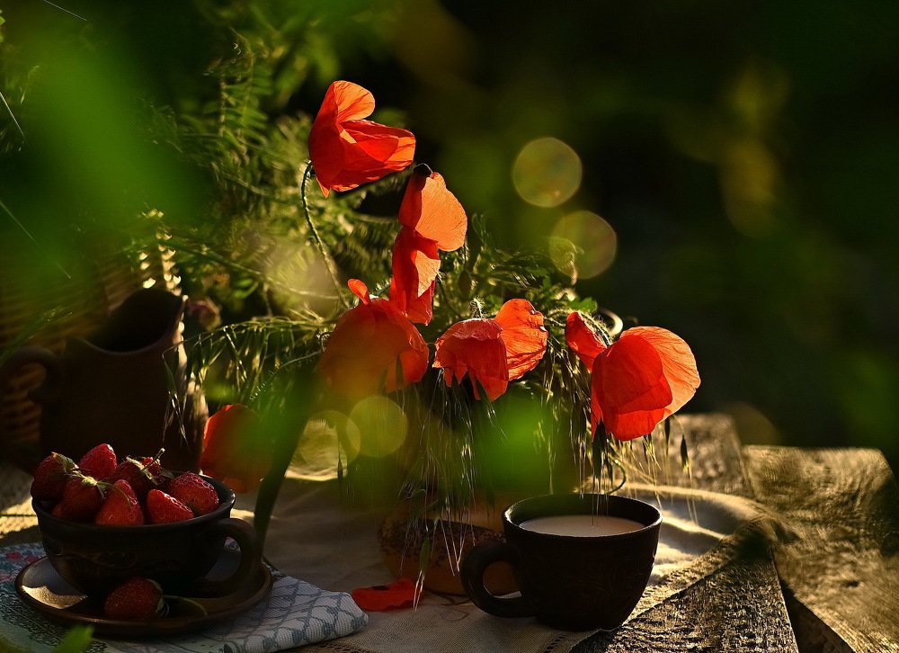 Маковый вечер...