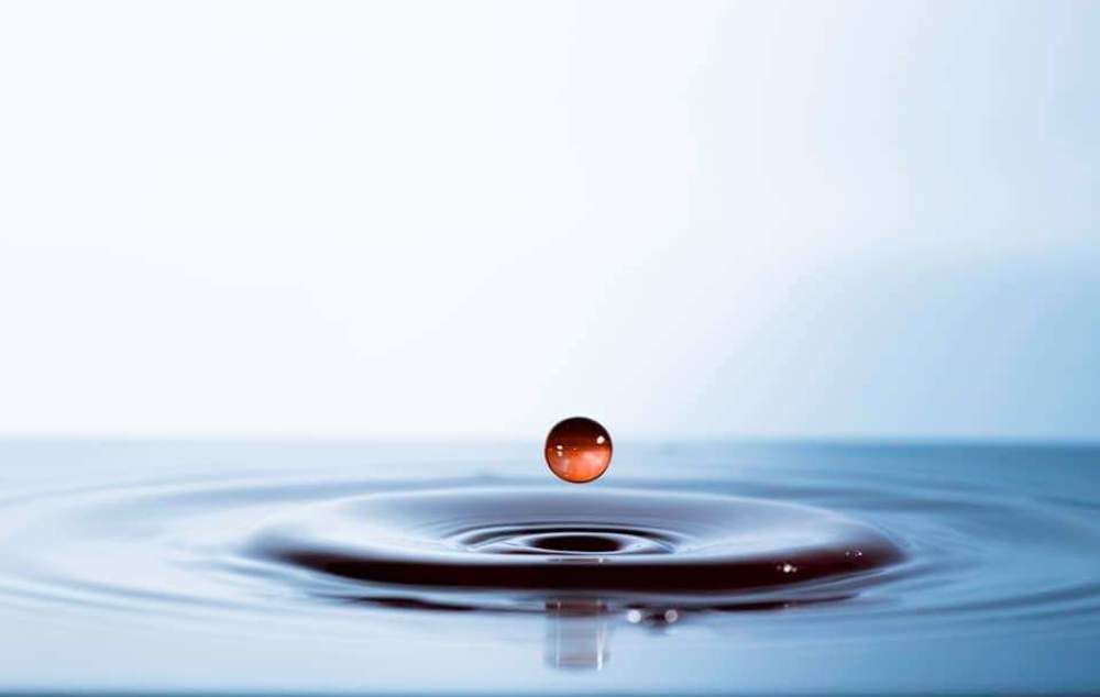 Photograph by Monika Savic