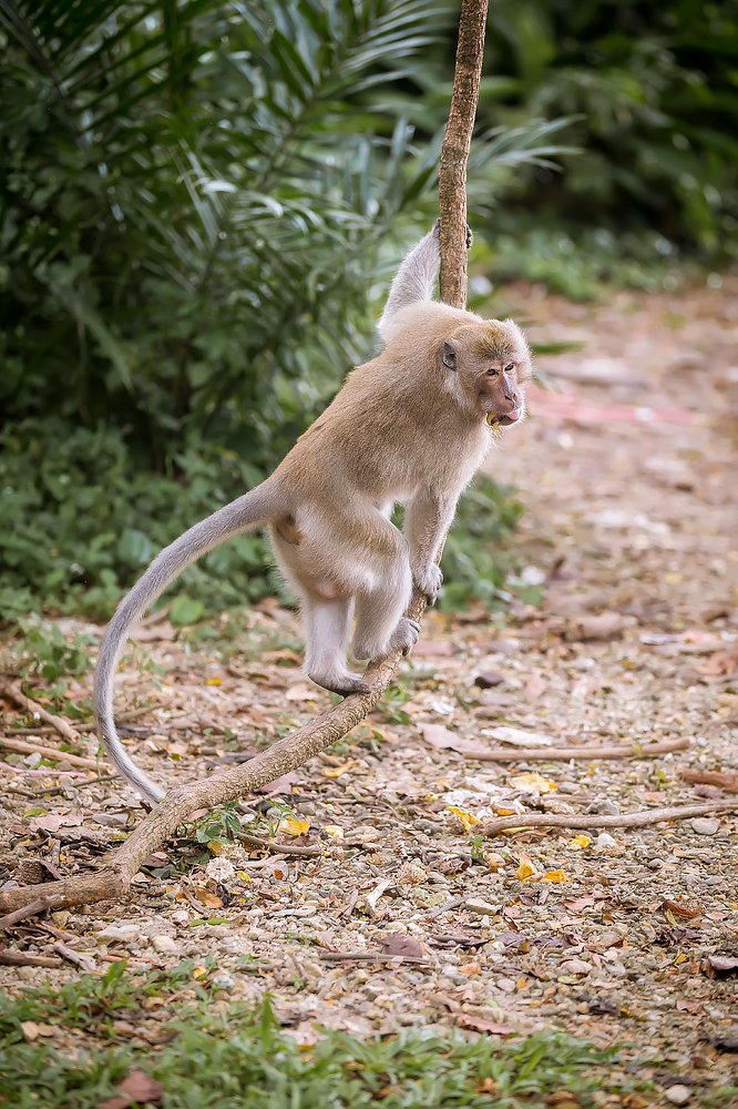 Photograph by Анастасия Петрова