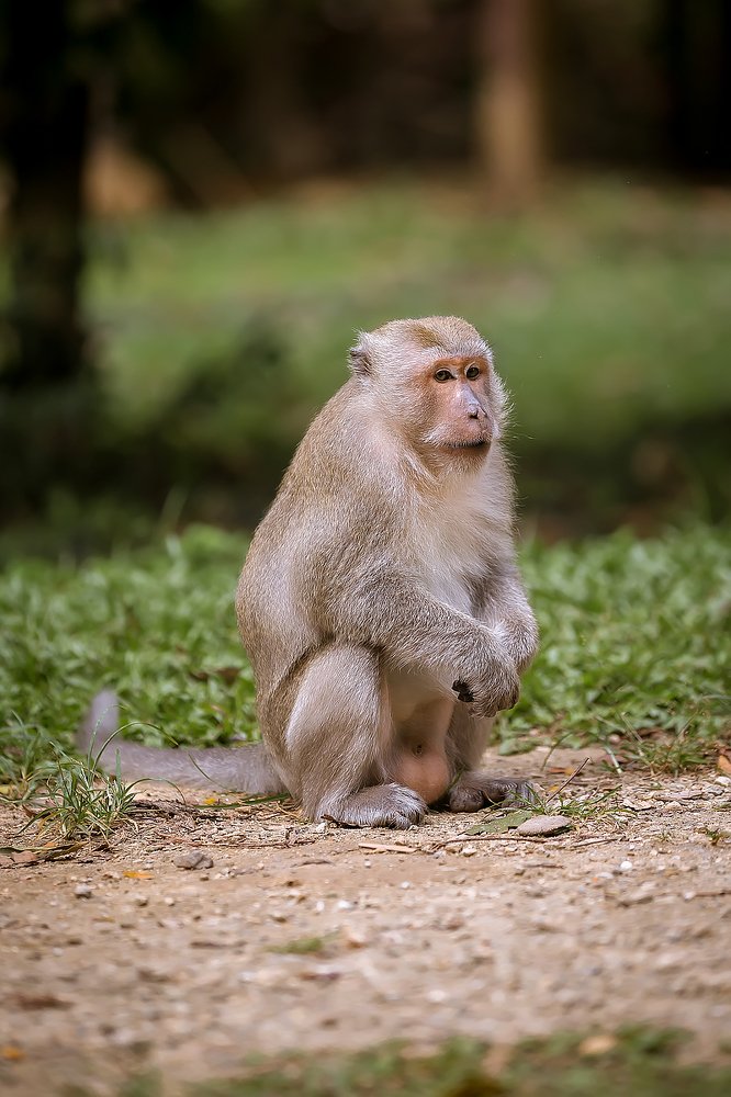 Посидим, подождём...