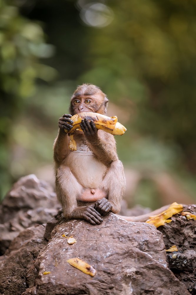 Время обеда