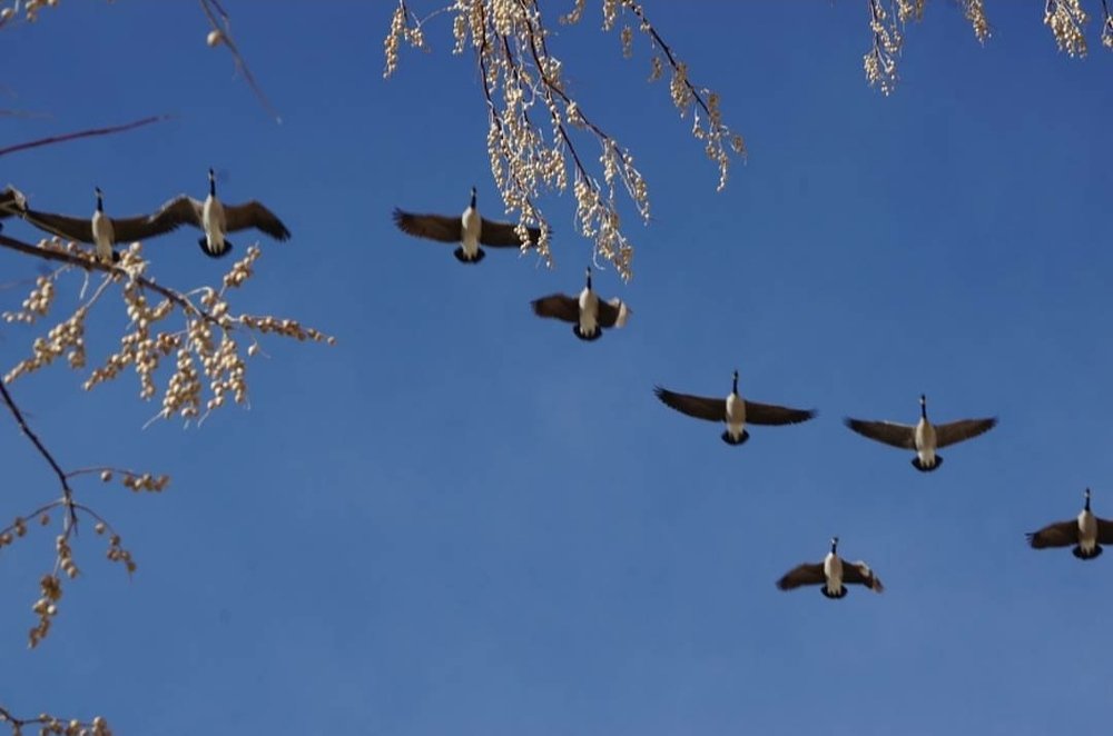 Photograph by Лидия Коршкова