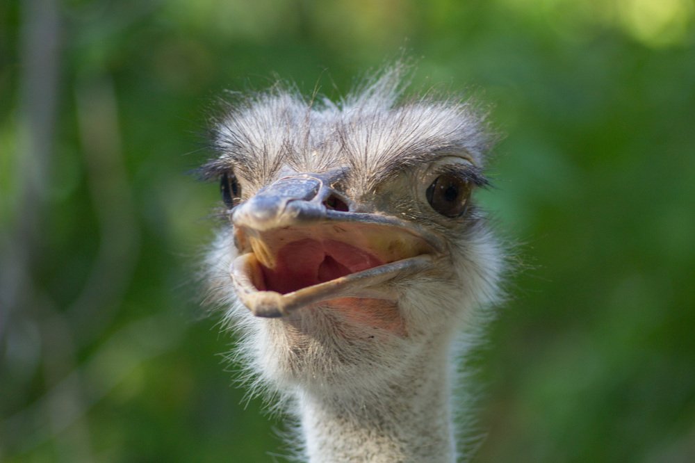 Photograph by Любовь Головина