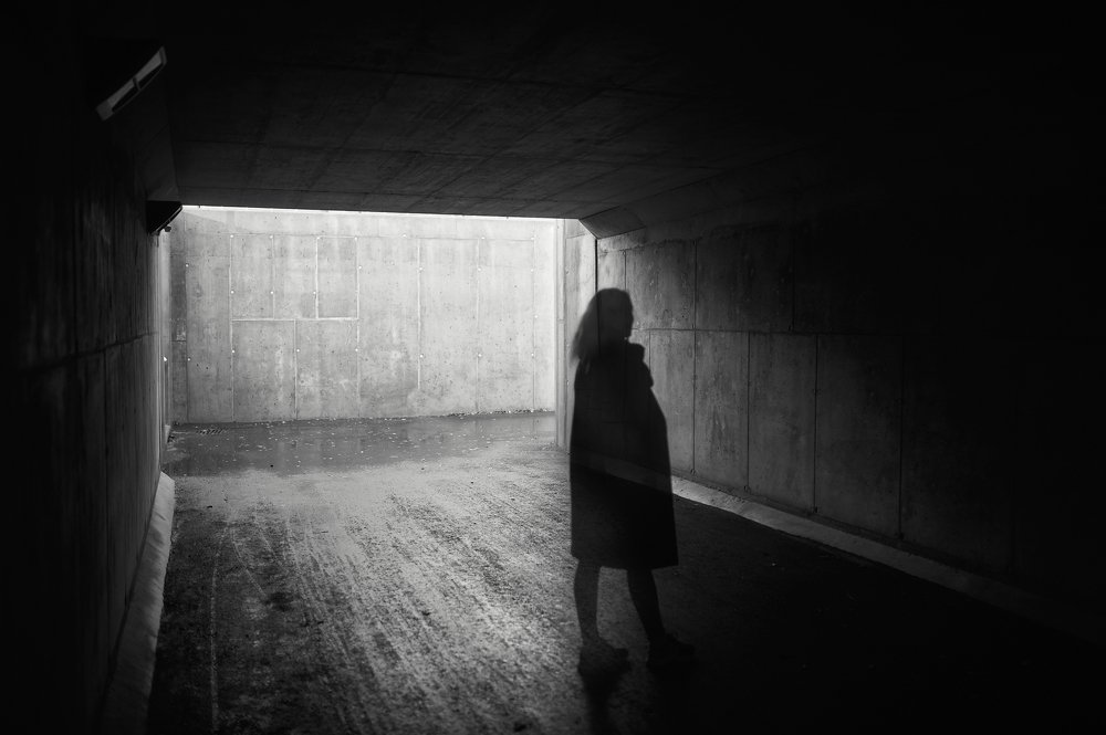 Фотография автора Антон Покровский