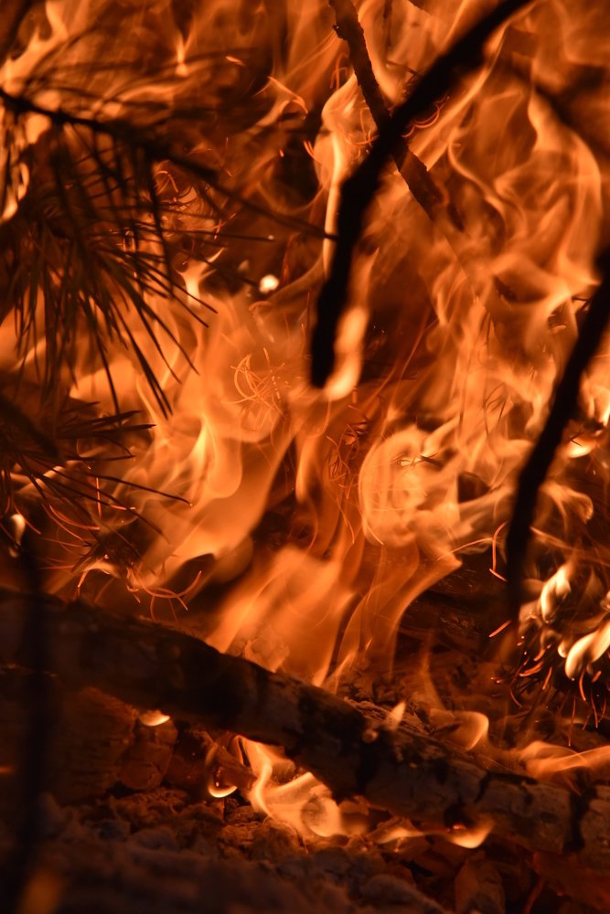 Photograph by Людмила Воропаева