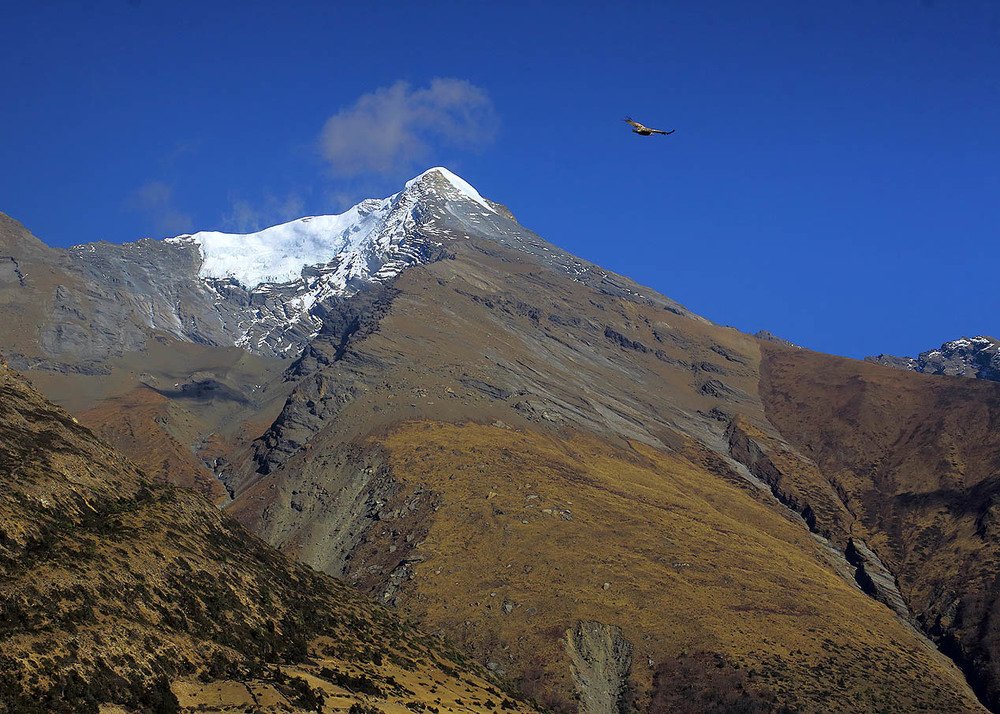 Photograph by Михаил Баевский