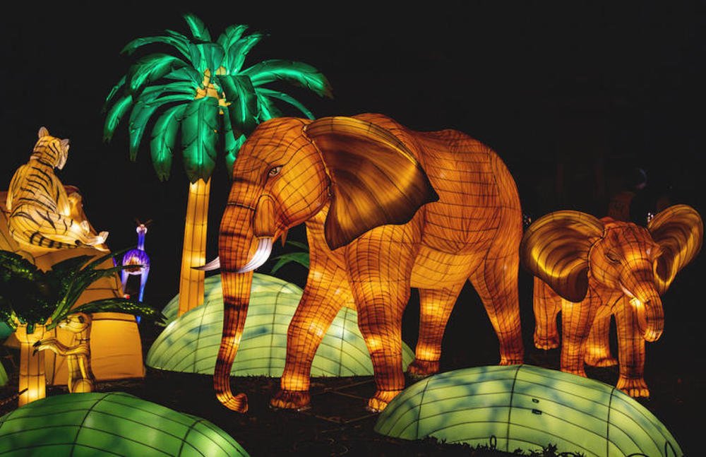 Photograph by Игорь Лебедев