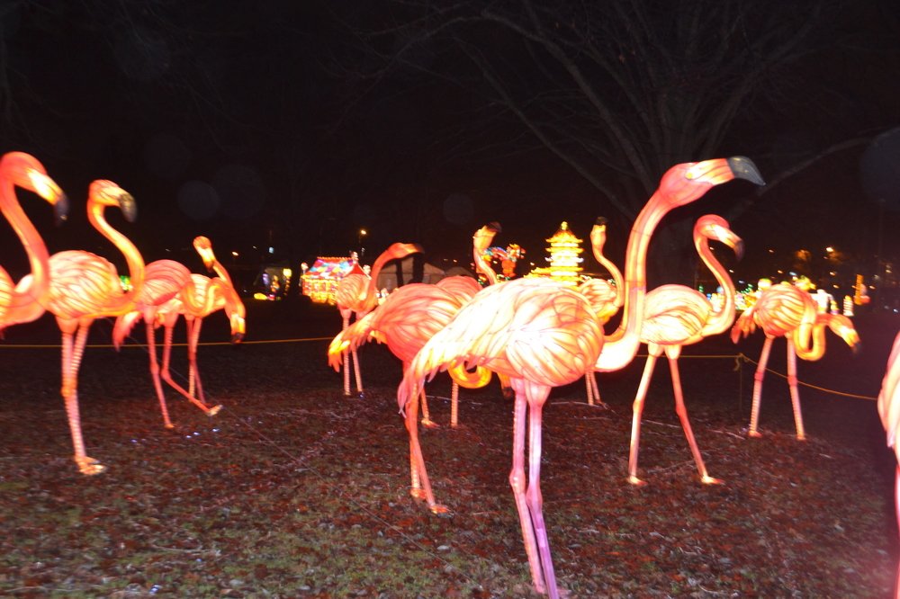 Photograph by Игорь Лебедев