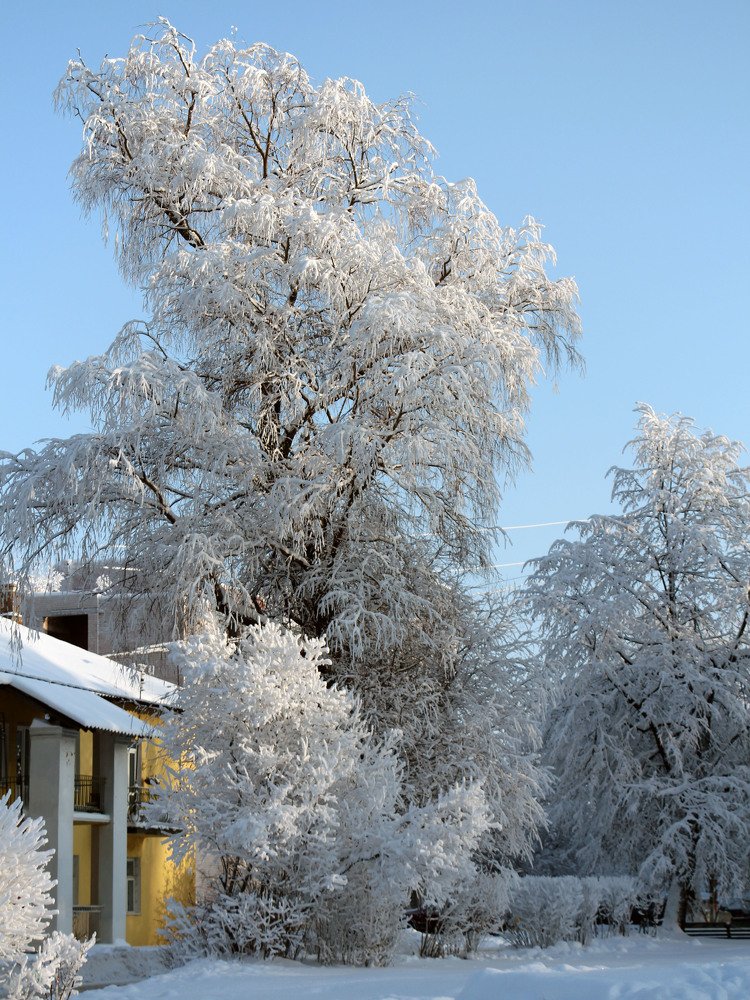 Photograph by Владислав Кашковский