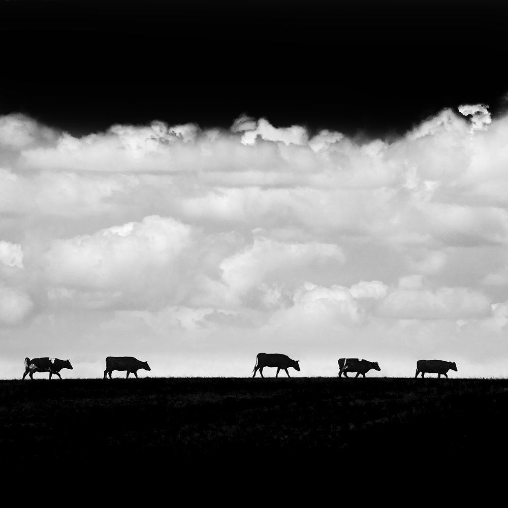 Photograph by Дмитрий Симбаев