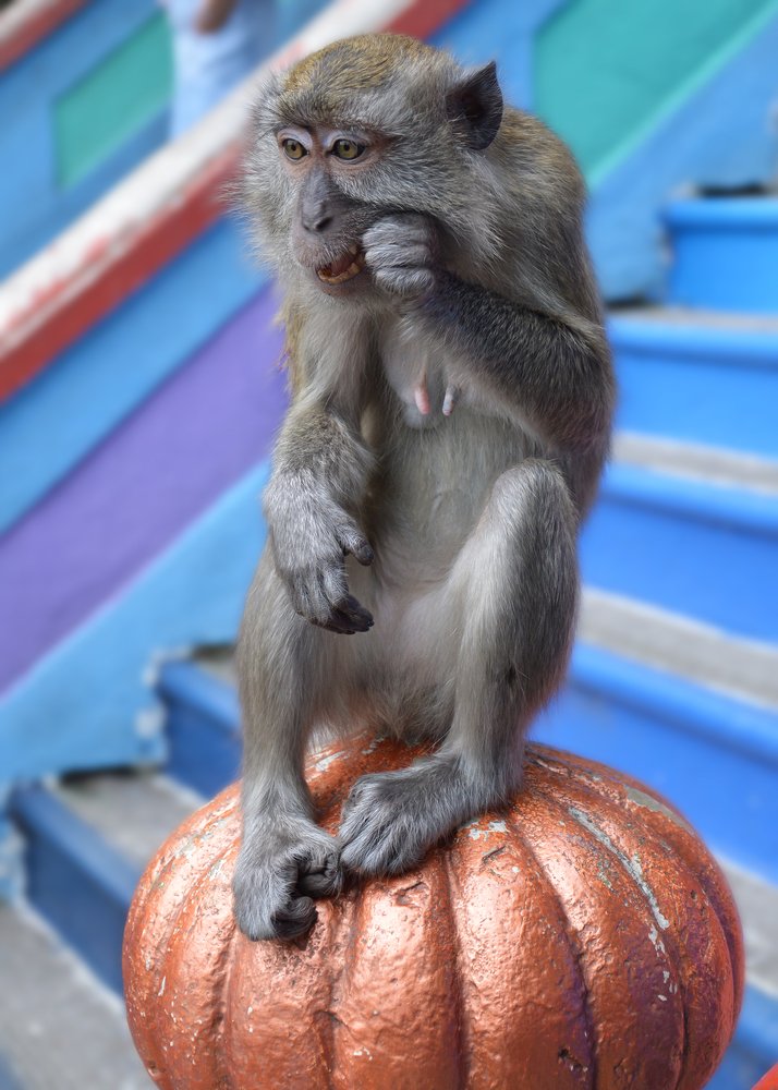 Photograph by Mirko  Ilić