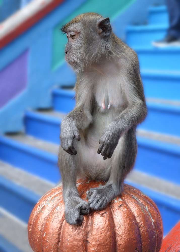 Photograph by Mirko  Ilić