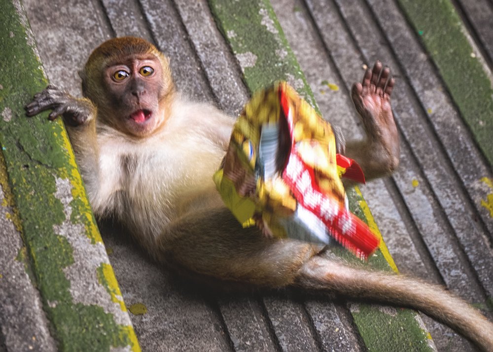 Photograph by Mirko  Ilić