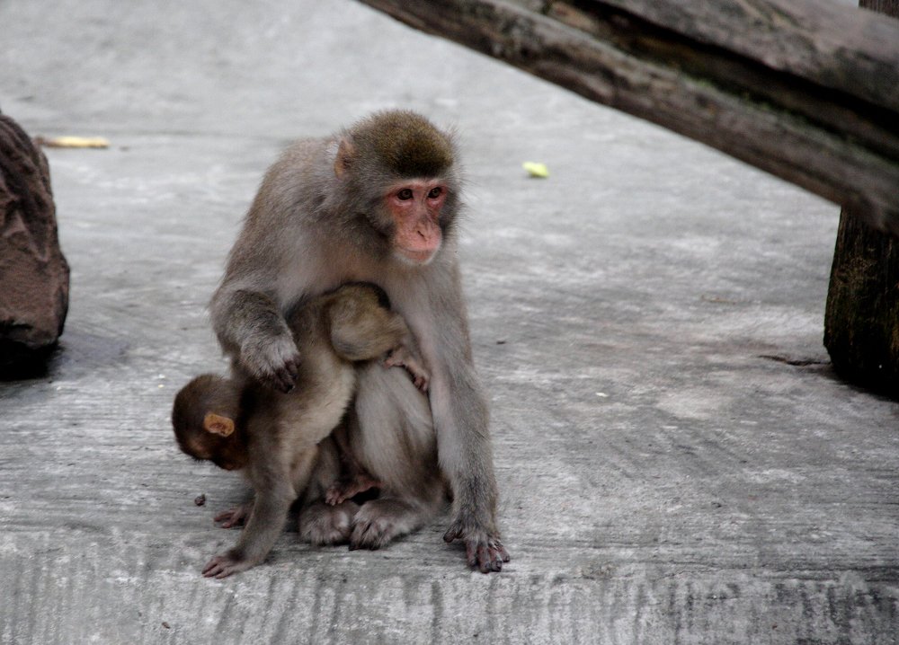 Photograph by Ярослав Ткаченко