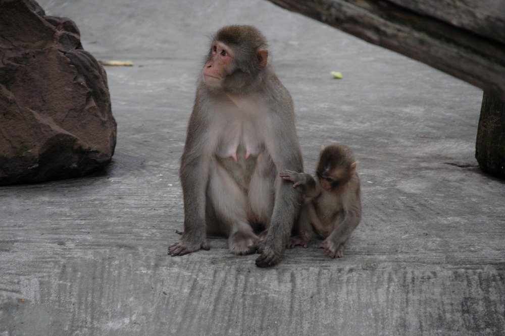 Photograph by Ярослав Ткаченко