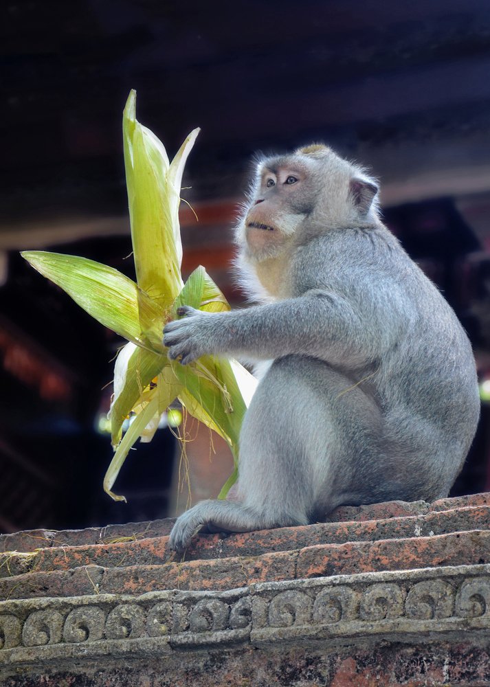 Photograph by Mirko  Ilić