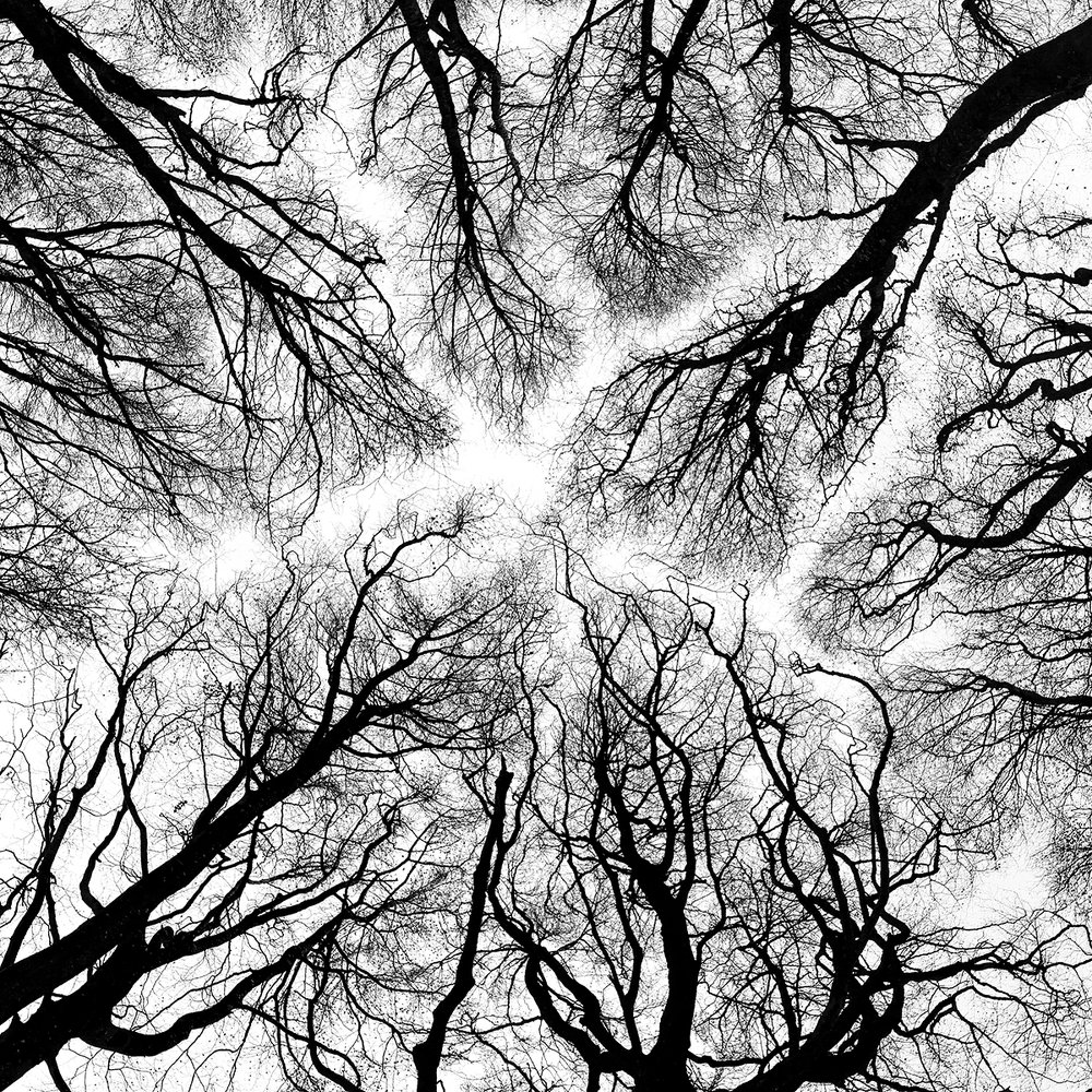 Photograph by Дмитрий Симбаев