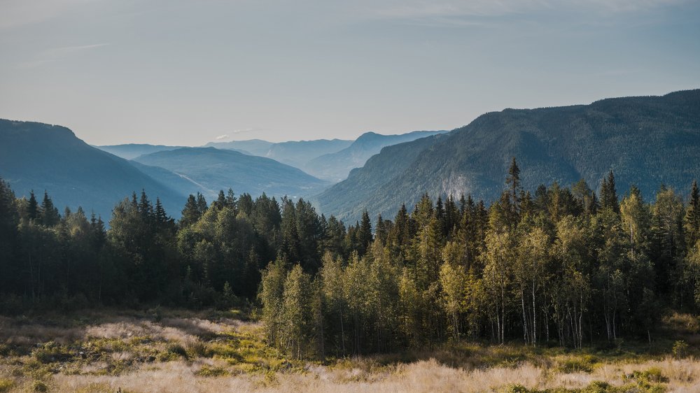Фотография автора Даниил Третьяков