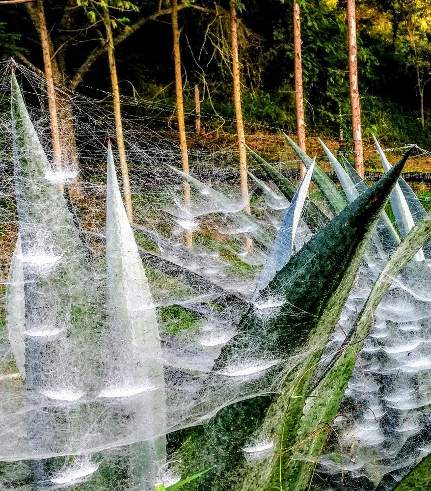 Photograph by Eduardo Wagner