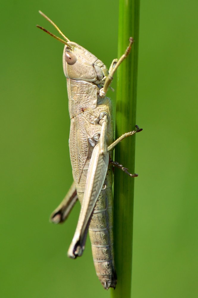 Photograph by Людмила Шалина